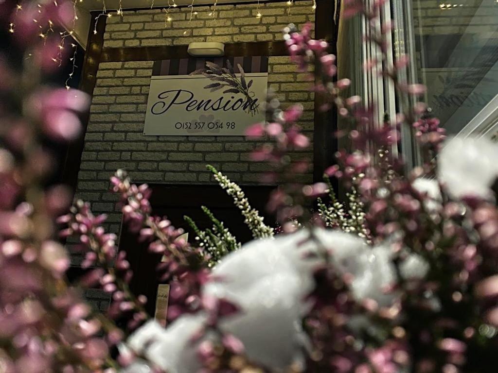 Pension Lavendel Harztor Extérieur photo