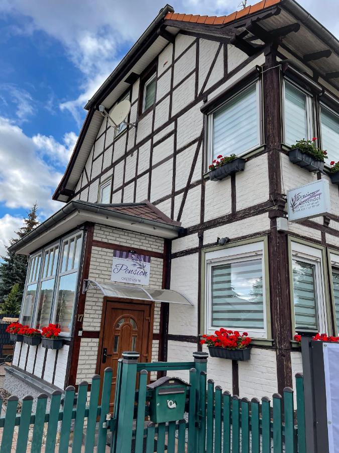 Pension Lavendel Harztor Extérieur photo